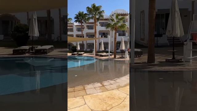 ⭐Sunrise Remal Beach 5*, Египет Шарм-эль-Шейх смотреть онлайн