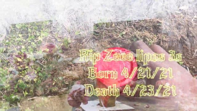 First ever Zeee lipo battery Funeral #rip смотреть онлайн