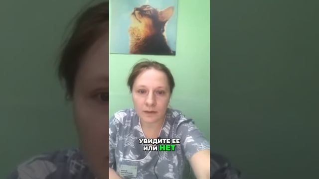Болезнь пугачих смотреть онлайн