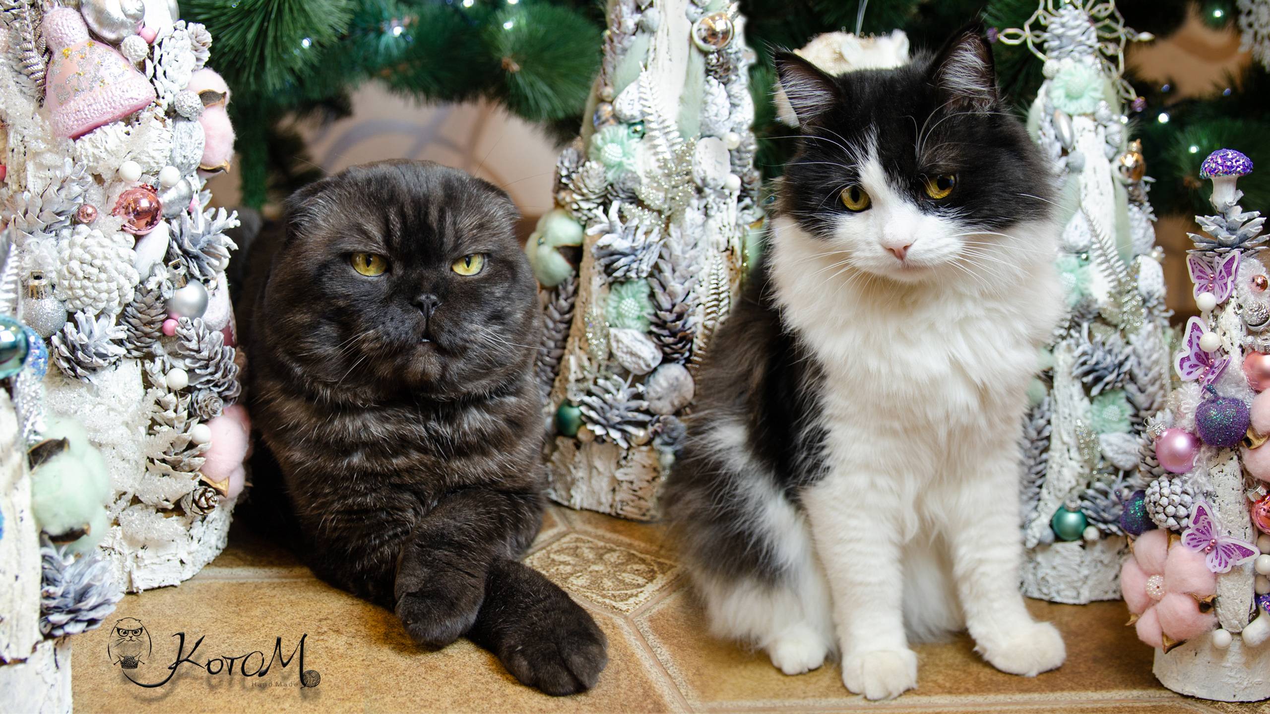 ЁЛКИ своими руками 🎄🌲 КОТЫ😸 | Новый год смотреть онлайн