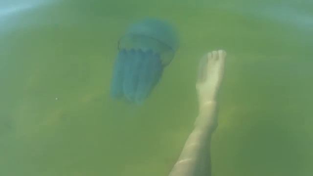 Корнероты смотреть онлайн