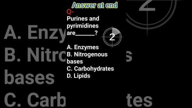 Purines and pyrimidines are___________?A. EnzymesB. Nitrogenous basesC. CarbohydratesD. Lipids смотреть онлайн