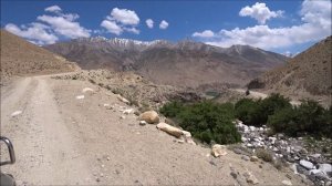 ПАМИР июнь 2024