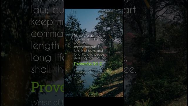 #bible #blessed #blessings #foryou #verseoftheday #bibleverse #bibleversedaily Proverbs 3:1-2 смотреть онлайн