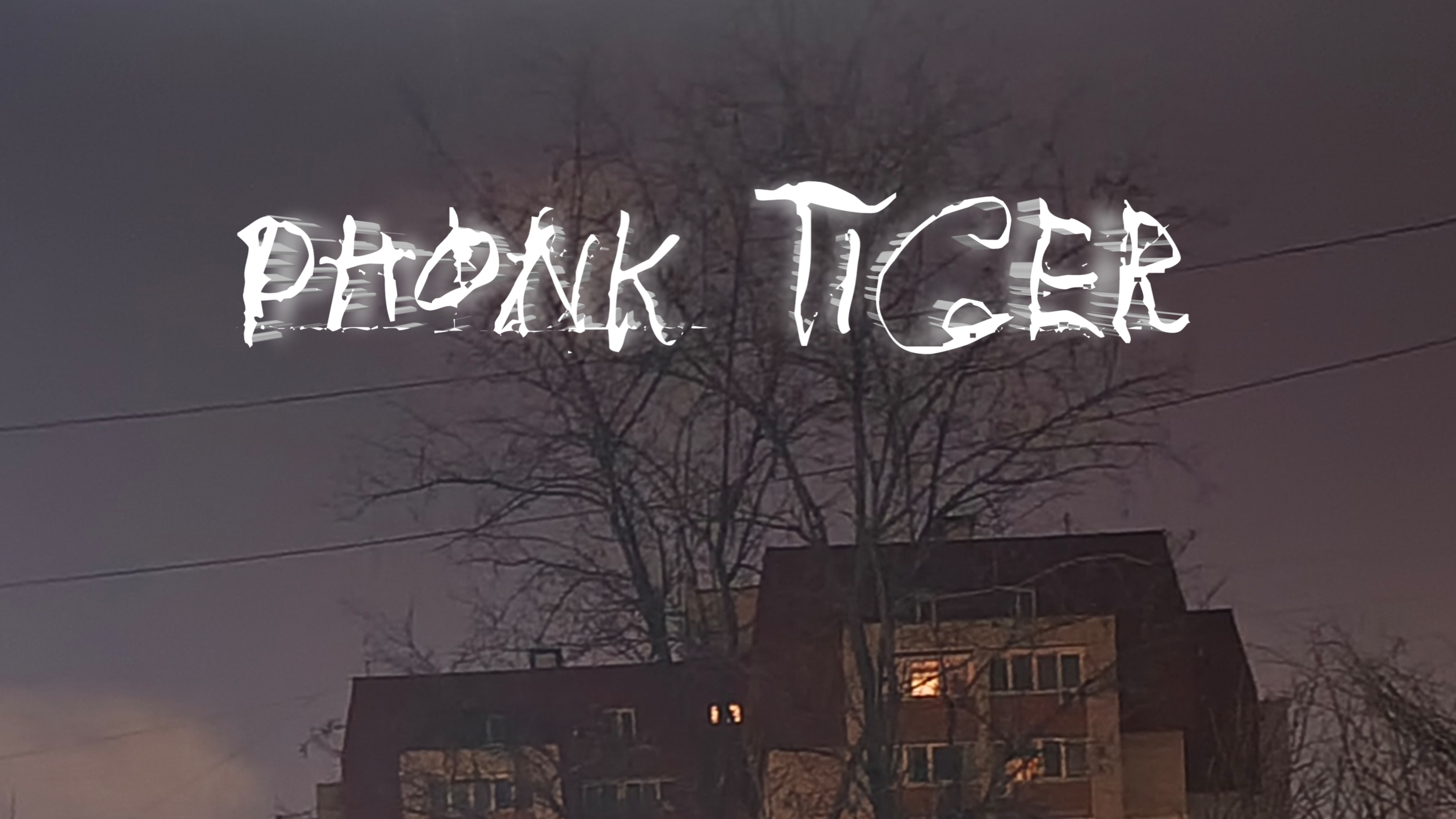 Phonk Tiger