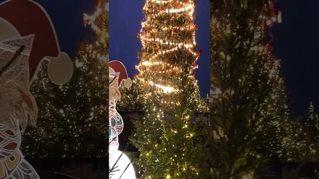 Предновогодний дождливый Петербур