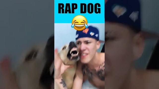 Dog Rap Battle смотреть онлайн