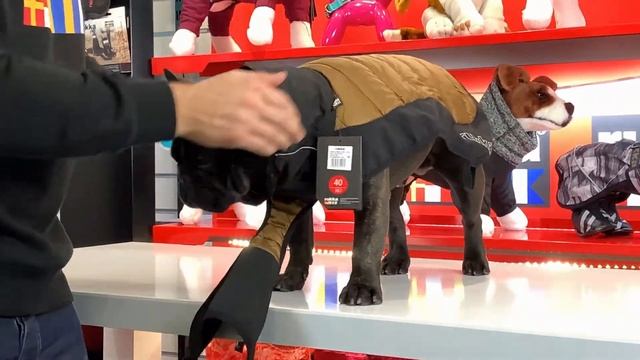 Rukka Pets Airborn Hybrid Jacket смотреть онлайн