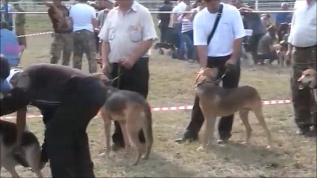 Выжлецы мл.вз. группа смотреть онлайн