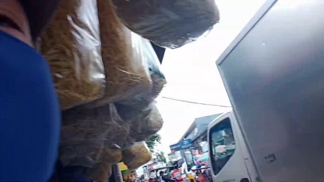 ANG AKING MGA GANAP NAMILI NANG PROZEN FOODS GROCERY PLUS RENEW NANG PERMIT смотреть онлайн