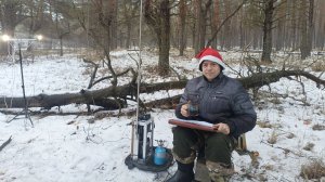 R4ABW/P в сосновом лесу.