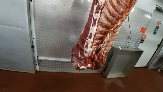 ОБВАЛКА ГОВЯДИНЫ! расчленовка ПЕРЕДНЕЙ ЧЕТВЕРТИ!1 смотреть онлайн