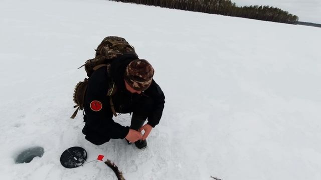 Увёз жену в тайгу на дикое озеро. Семейная рыбалка. Жена жжёт. Девушка на рыбалке. Поход в лес смотреть онлайн