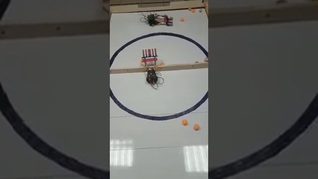 Робоволейбол. Робототехника для детей в Невском районе СПб смотреть онлайн