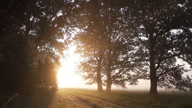Icon Music Relaxing Music 01, Meditation music, focus music, relaxation music #relaxingmusic смотреть онлайн
