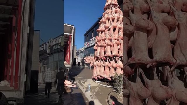 Развешанные бараны в форме ёлки в Узбекистане 🇺🇿🎄🎅🐑 смотреть онлайн
