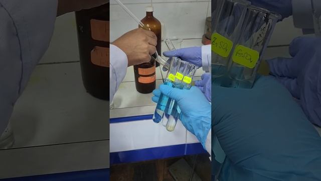 precipitación de sulfuros metálicos. práctica 4 azufres y sulfuros objetivo 5 смотреть онлайн