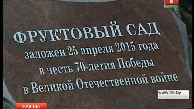 По одному дереву за каждый год мирной жизни смотреть онлайн