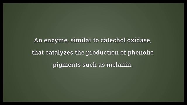 Tyrosinase Meaning смотреть онлайн