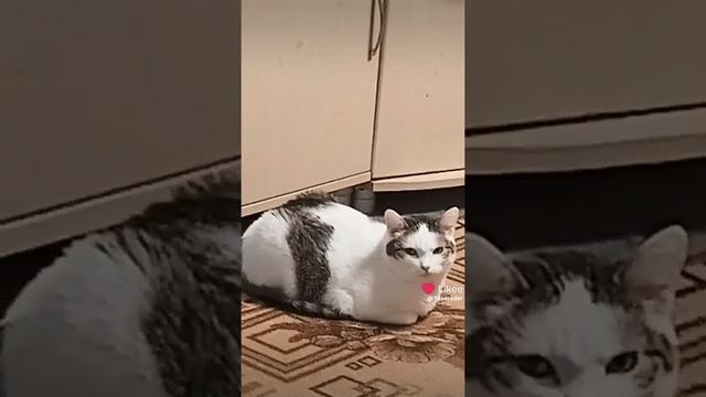 маня смотреть онлайн