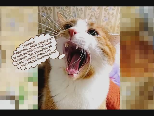 - ЗдоровА, соседи! Не спите..._ - Уже не спим. - Тогда с Новым годом вас...! (из ранее выпущенных) смотреть онлайн