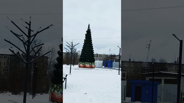 Зимний❄день Прогулка по городуВсех с наступающим Новым годом#новыйгод #город #рождество #shorts смотреть онлайн