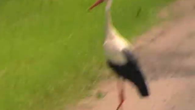 АИСТ на дороге смотреть онлайн