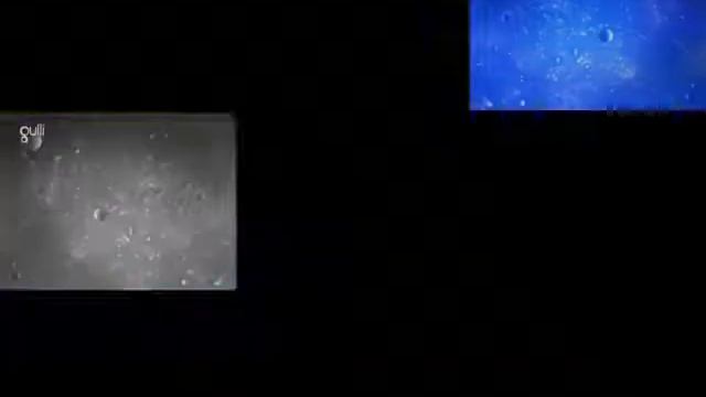 Oggy has a Sparta Quest For Perfection Remix смотреть онлайн
