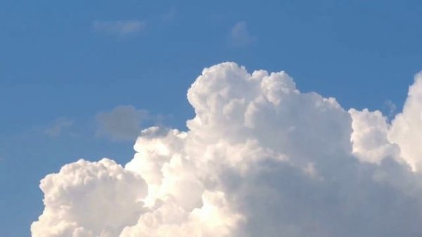 мани мани мани официальная песня