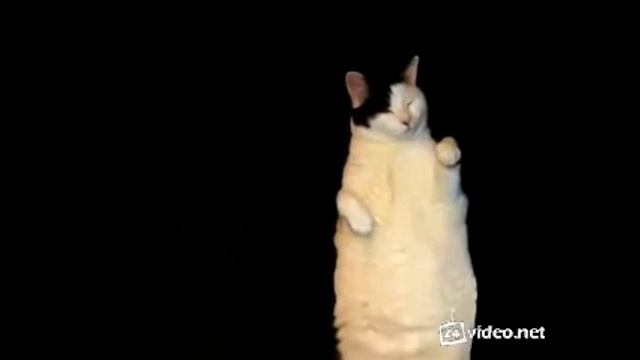 Смешное видео 2017 смотреть онлайн