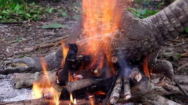 Catch Wild crocodile at waterfall for food - Crocodile grilled Spicy chili for Eating delicious смотреть онлайн