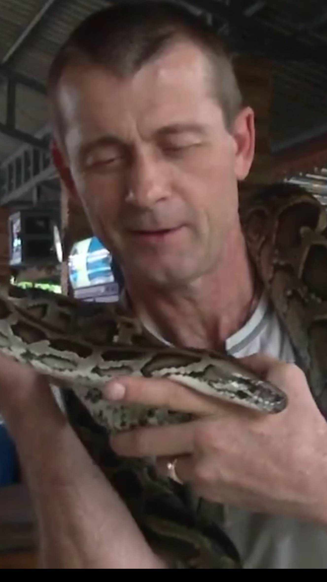 ⛄С Новым 2025 Годом змеи ! смотреть онлайн