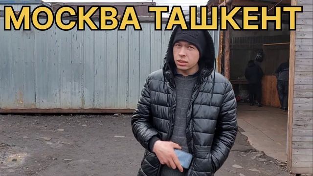 МОСКВА ТАШКЕНТ АВТОБУС 7000₽ ДАН +79683578084#санктпетербург #москва #ташкент #автобус #мигранты смотреть онлайн
