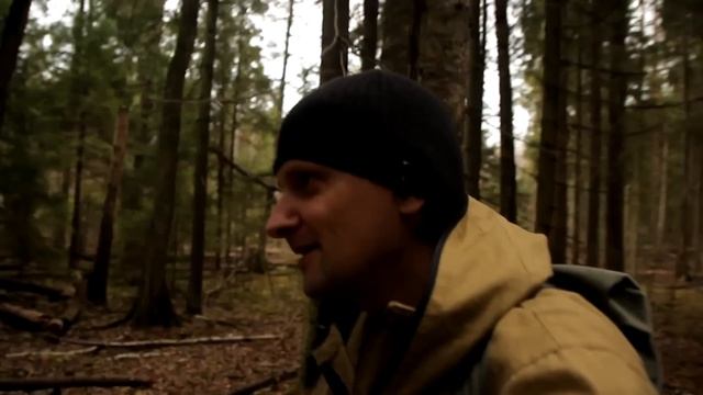 лес,клещи,балаган и приемник VEF 202 смотреть онлайн