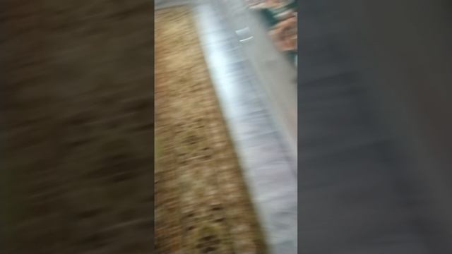 123 бой смотреть онлайн