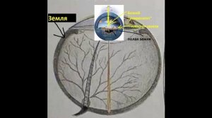 Глогер Вадим из Майями про плоскую землю