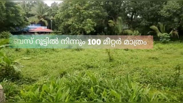 32 Cent Commercial Land For Quarters | Flat For Sale | Palakkad | Shoranur (സെന്റ് 1.60 ലക്ഷം ) смотреть онлайн