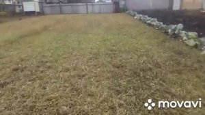 Мульчер мотоблока на цепях!