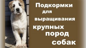 Подкормки для выращивания крупных щенков