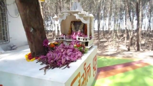 SAHASRARA DHAM AT NARGOL , 2013,MAY 5TH смотреть онлайн