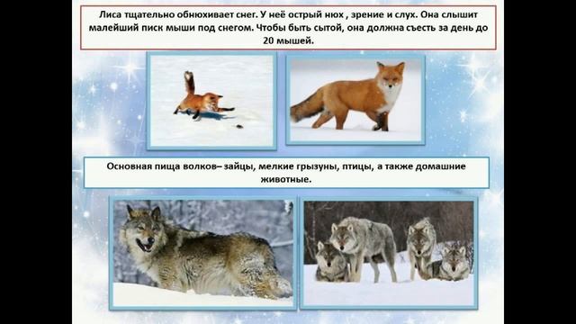 Видеокруиз Чародейка Зима смотреть онлайн