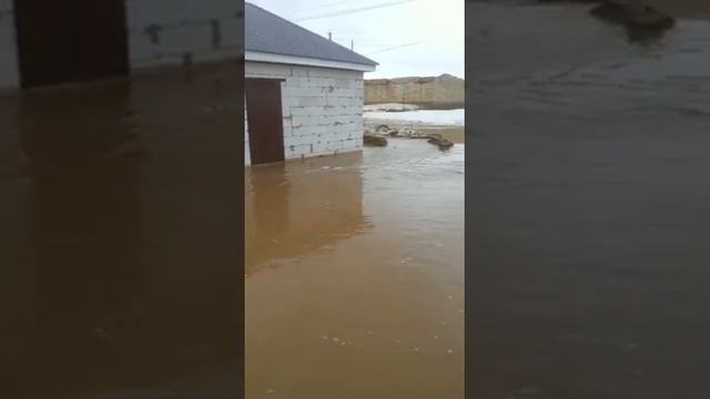 В Актобе талые воды затапливают дачные участки и поселок Жанаконыс смотреть онлайн