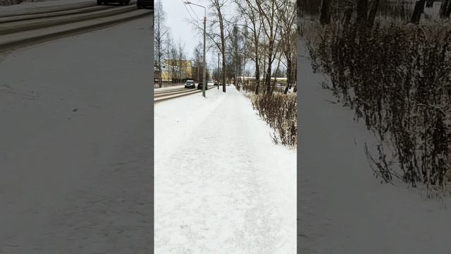 Всем доброго времени суток Всем отличного настроенияПозитива и добра #настроение #позитив #Shorts смотреть онлайн