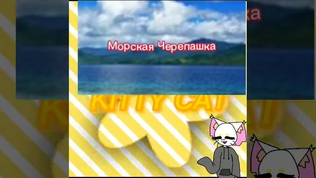 Перерисовка морской черепашки? смотреть онлайн