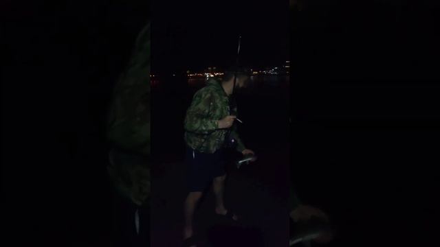 Мой первый ночной Судачëк сезона. Тульская яма. Судак на воблер летом на реке Обь. #судак2023 смотреть онлайн