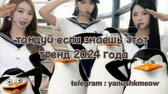 🎱🐧 Танцуй если знаешь этот тренд 2024 года 🎱🐧 Лучшее тренды Тик Ток 2024 🎱🐧 смотреть онлайн