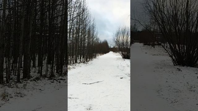 Архангельская областьНоябрь2024 Субботнее зимнее ❄ утрогород #север #арктика #зима #шортс #Shorts смотреть онлайн