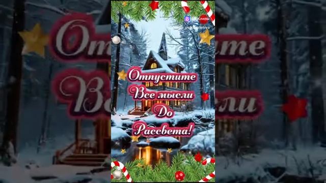 vkclips_20241230071343 смотреть онлайн