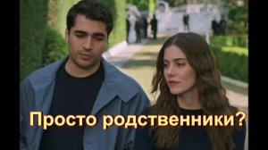 Ферит и Суна из «Зимородка» - всего лишь родственники
