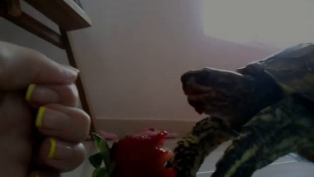 Абдулушка с клубничкой смотреть онлайн